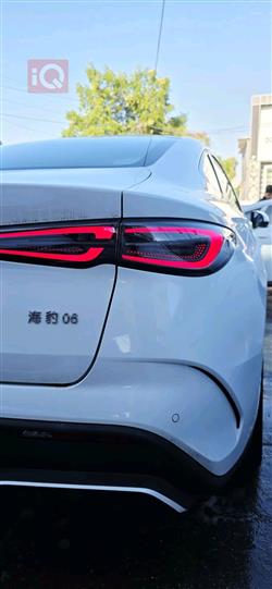 بي واي دي سيل 06 DM-i